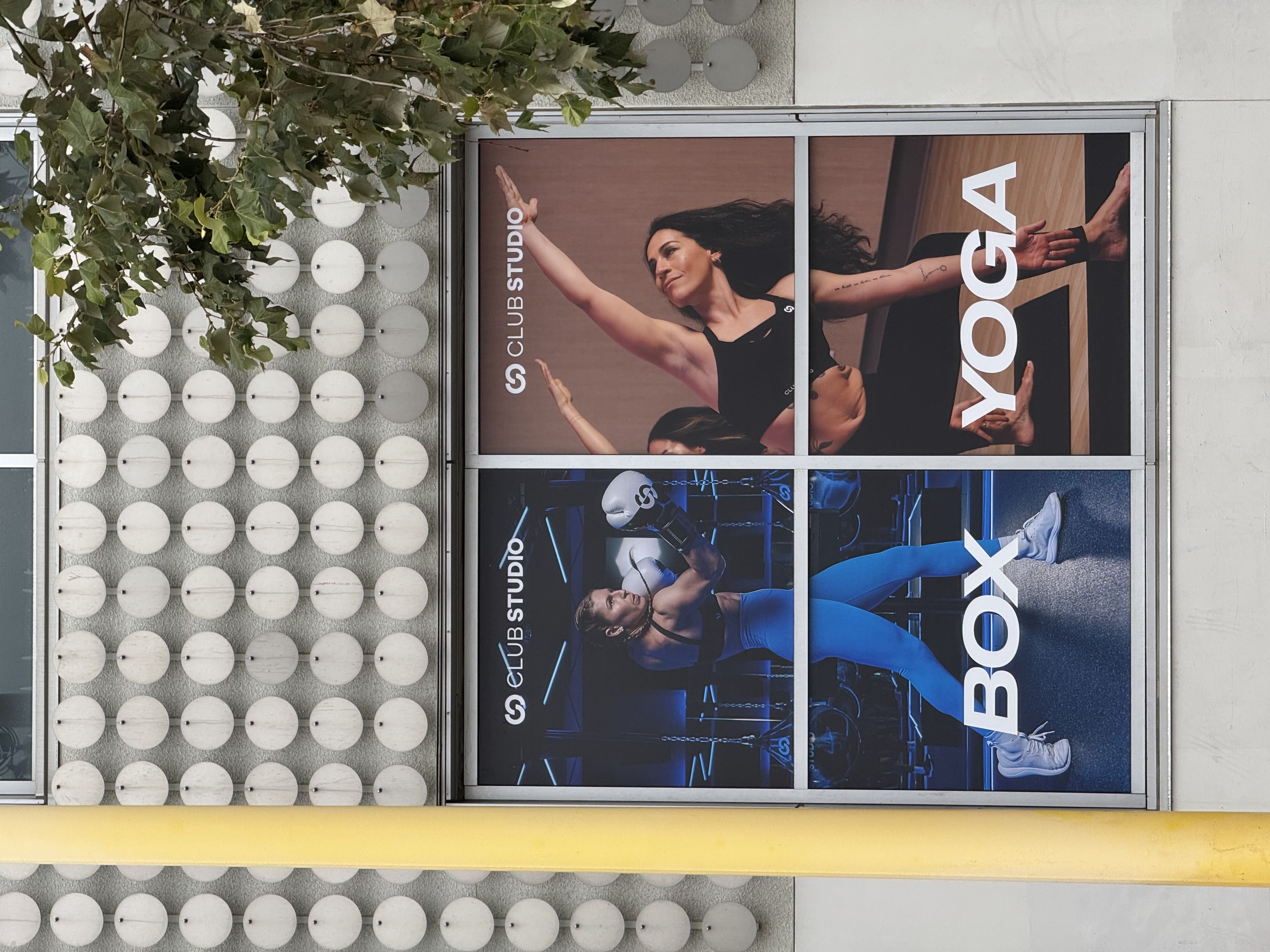 Club Studio window vinyl graphic