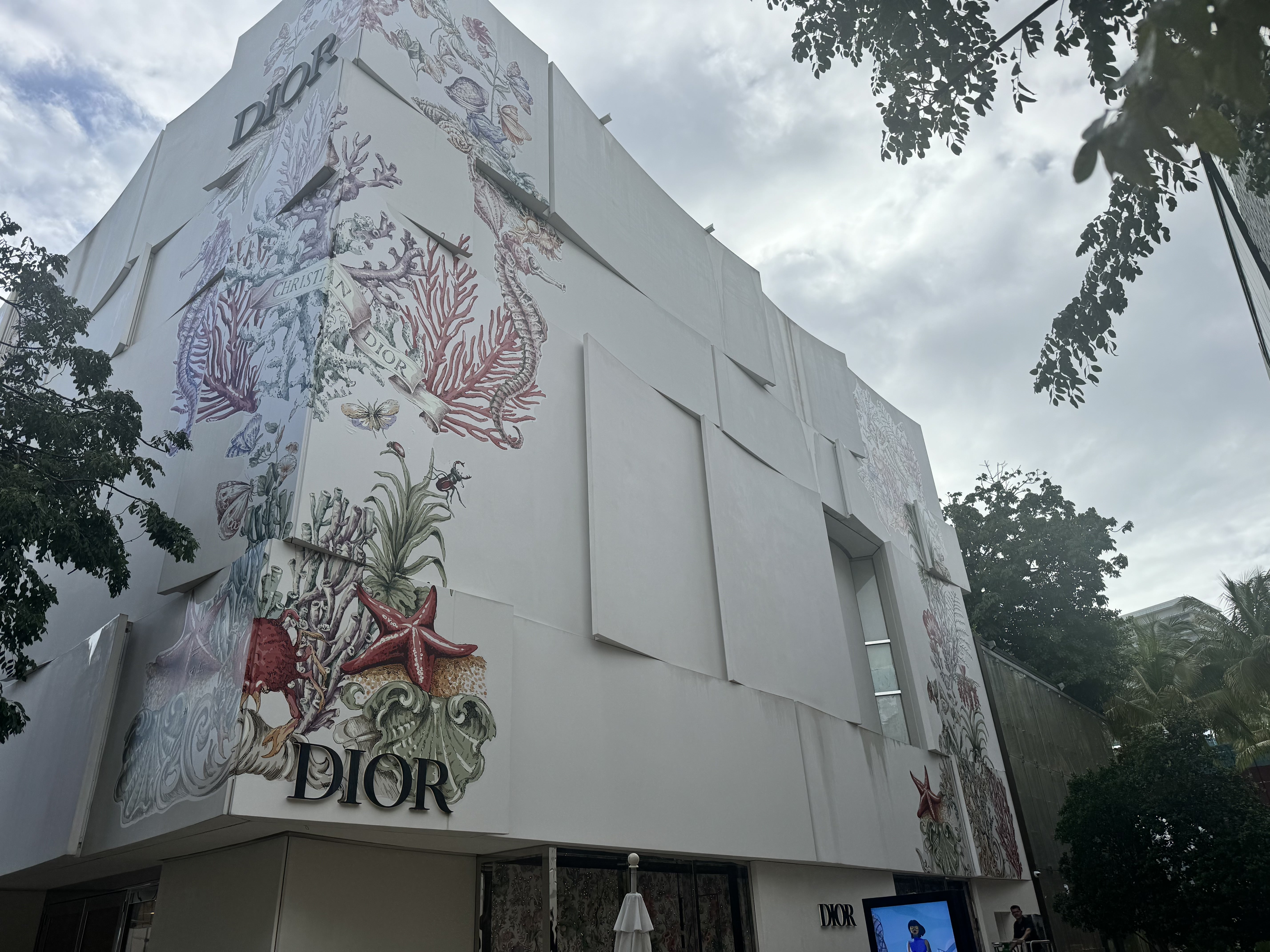 Dior Store outdoor wall vinyl display